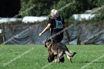 IMG_1790.jpg