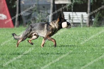 IMG_1853.jpg