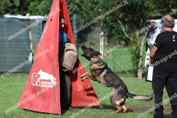 IMG_9618.jpg