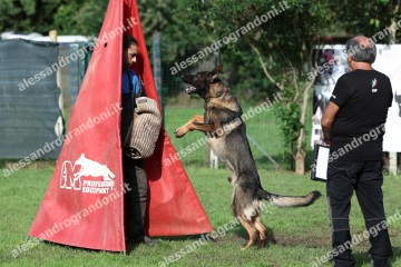 IMG_9652.jpg