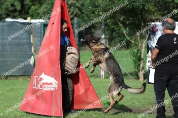 IMG_9675.jpg