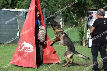 IMG_9718.jpg