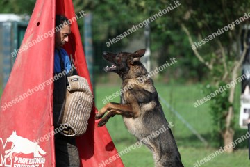IMG_9726.jpg