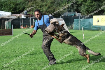 IMG_9821.jpg