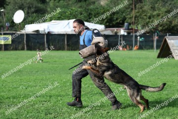 IMG_9831.jpg