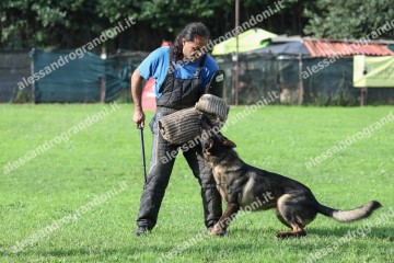 IMG_9868.jpg