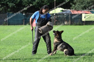 IMG_9876.jpg