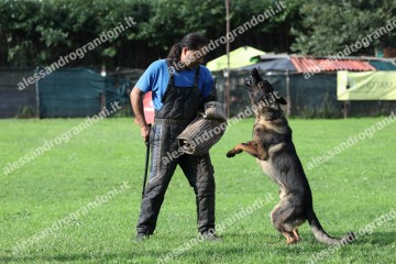 IMG_9898.jpg