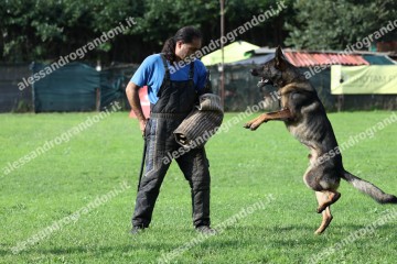 IMG_9909.jpg
