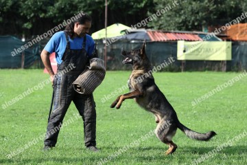 IMG_9922.jpg