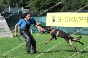 IMG_9997.jpg