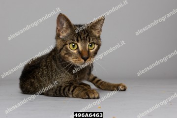 496A6463.jpg
