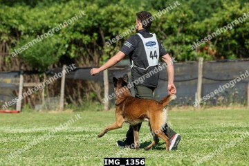 IMG_1356.jpg