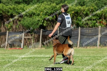 IMG_1359.jpg