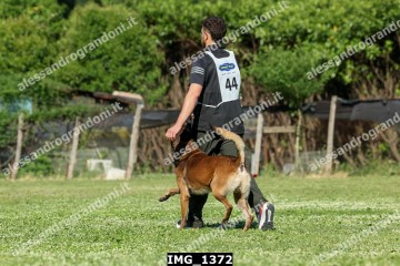 IMG_1372.jpg