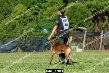 IMG_1382.jpg