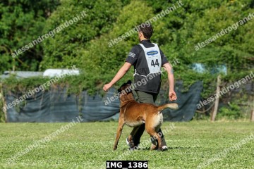 IMG_1386.jpg