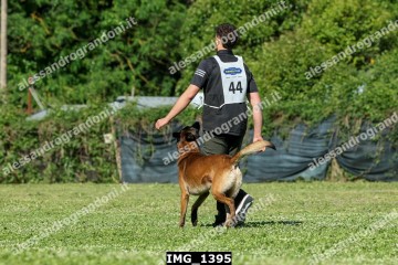 IMG_1395.jpg