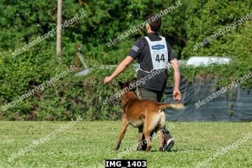 IMG_1403.jpg