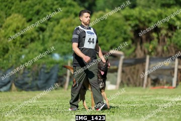 IMG_1423.jpg