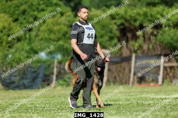 IMG_1428.jpg