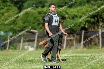 IMG_1437.jpg