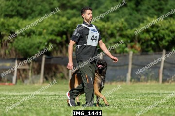 IMG_1441.jpg