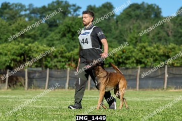 IMG_1449.jpg