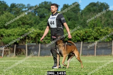 IMG_1453.jpg