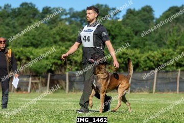 IMG_1462.jpg