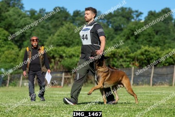 IMG_1467.jpg