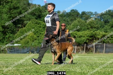 IMG_1474.jpg