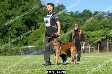 IMG_1478.jpg