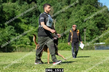 IMG_1512.jpg
