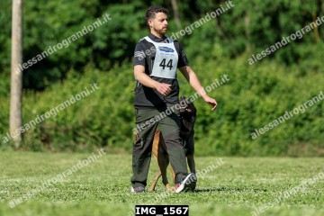IMG_1567.jpg