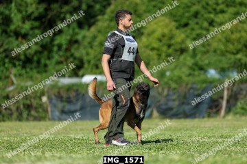 IMG_1571.jpg