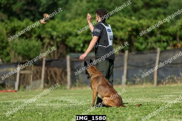 IMG_1580.jpg
