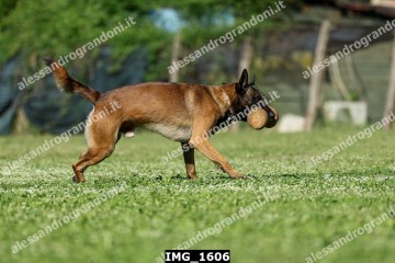IMG_1606.jpg