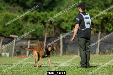 IMG_1621.jpg