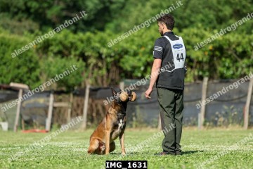 IMG_1631.jpg