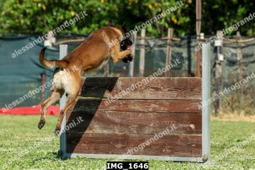 IMG_1646.jpg