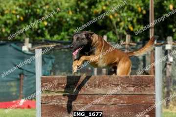 IMG_1677.jpg