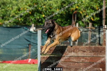 IMG_1681.jpg