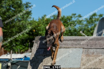 IMG_1707.jpg