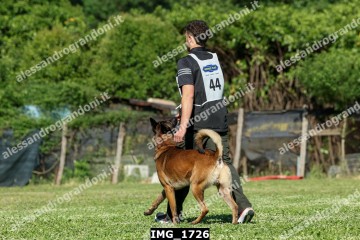 IMG_1726.jpg