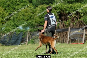 IMG_1735.jpg