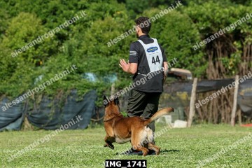 IMG_1741.jpg