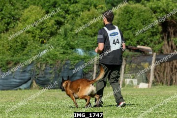 IMG_1747.jpg