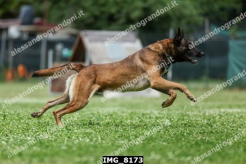 IMG_8173.jpg