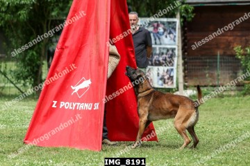 IMG_8191.jpg